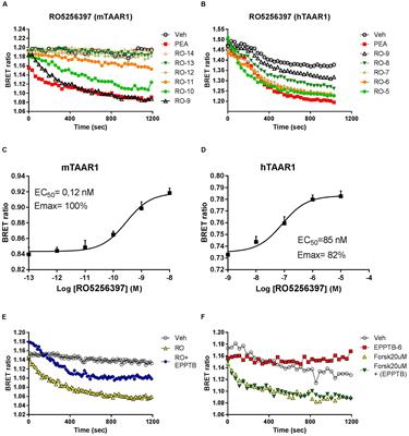 Biochemical and Functional Characterization of the Trace Amine-Associated Receptor 1 (TAAR1) Agonist RO5263397